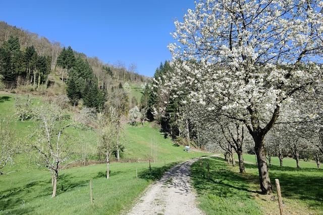 Gebirger Hfe-Weg