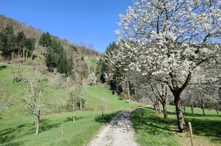 Gebirger Hfe-Weg