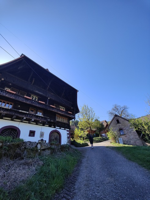 Gebirger Hfe-Weg - Durbach