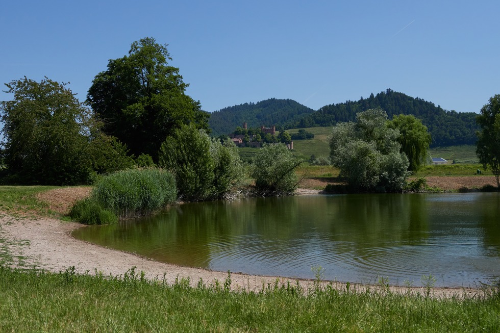 Schlossblicksee - Ortenberg