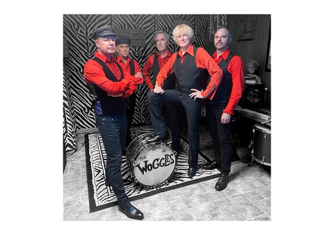 The Woggles (USA) - Donaueschingen - 17.08.2025 20:00