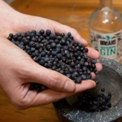 Exklusives Gin-Tasting in Karlsruhe | FSK ab 18 Jahren - Ettlingen - 18.10.2025 18:00