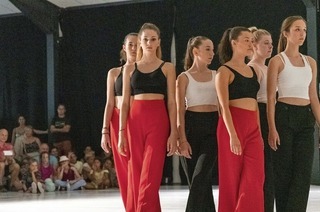 Tnzerinnen und Tnzer zeigen ihre Choreographien bei den Sommertanztagen