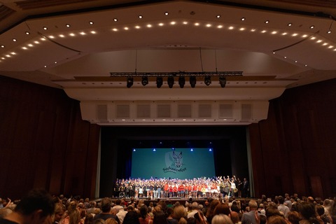 Seehasenfest Festauffhrung 2025 - Musical &#8222;Seehas bleib da!&#8220; - Friedrichshafen - 20.07.2025 16:00