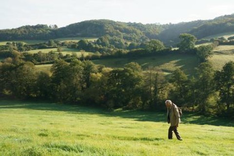 Die unwahrscheinliche Pilgerreise des Harold Fry - Achern - 11.07.2025 15:00