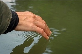I Am The River, The River Is Me
