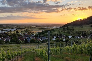 Kapelle Maria im Weinberg