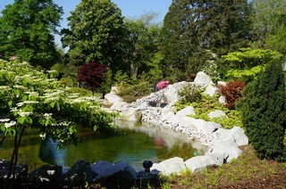 Fhrungen durch den Japanischen Garten