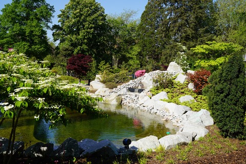 Fhrungen durch den Japanischen Garten - Bad Krozingen - 08.10.2025 16:00