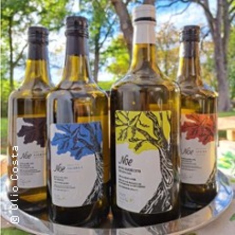 Olivenl-Tastings - BERLIN - 10.12.2025 18:30