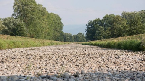 Klimawandel im Schwarzwald - Freiburg - 24.07.2025 19:00