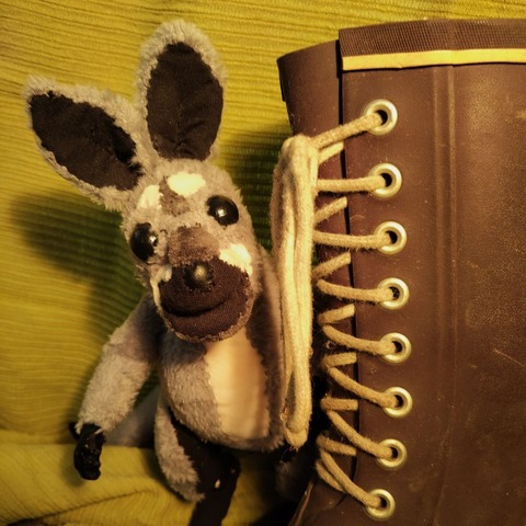 Klara Kngurukind (4+) - Osnabrck - 31.12.2025 16:00