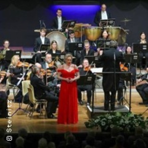 Neujahrskonzert - Europisches Festival Orchester - Rheinberg - 11.01.2026 19:00