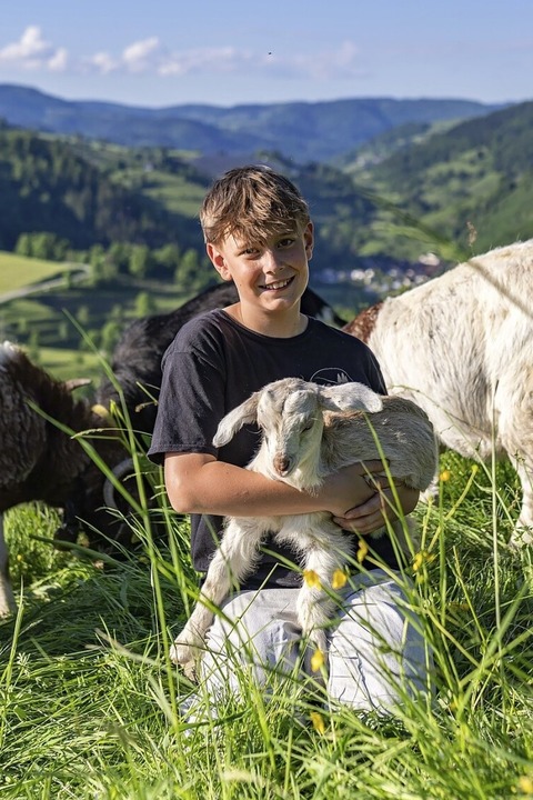 Die &#8222;Geie Buure&#8220; aus Zell-Atzenbach bringen Ziegen zum Biosphrenfest nach Zell mit - Badische Zeitung TICKET