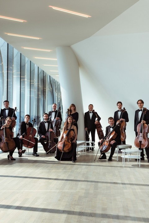 Elphcellisten - Vorweihnachtliches Festprogramm von Bach bis Piazzolla - Kempen - 19.12.2025 20:00