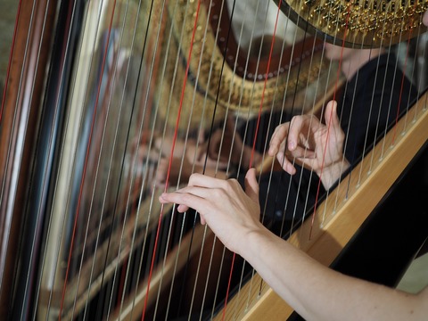 Seite an Saite - Ein musikalisch-literarischer Abendspaziergang - Bad Rappenau - 20.08.2025 20:00