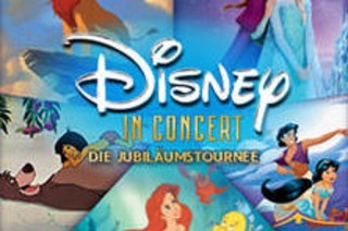 Parkplatzticket - Disney in Concert
