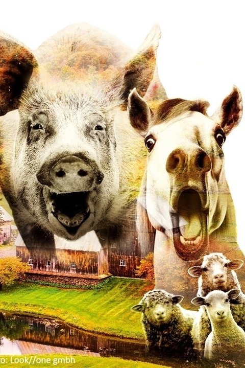 Farm der Tiere - Barsinghausen - 18.04.2026 20:00