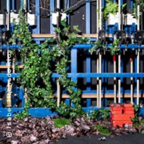 Wald - LBECK - 29.11.2025 20:00