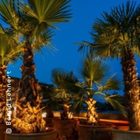 Sundowner ber Kln | Palmen-Dachgarten, Drinks, Fingerfood und Impulse - KLN - 01.09.2025 19:00