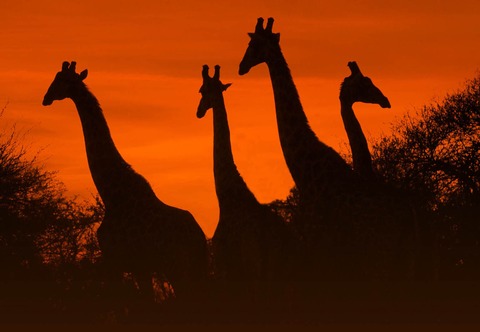 Aneta und Dirk Bleyer Sdafrika - von Kapstadt zum Kruger-Nationalpark - Leutkirch im Allgu - 07.11.2025 19:30