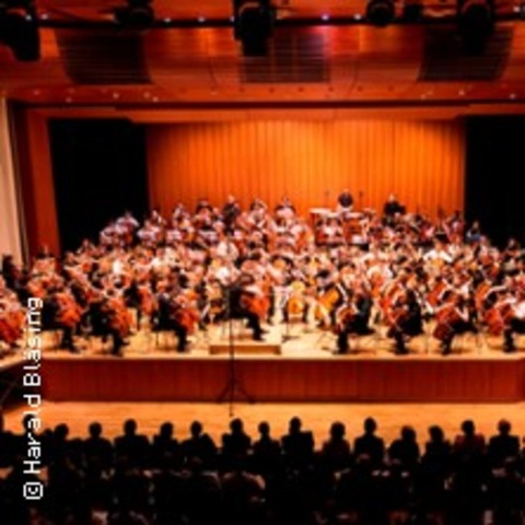 Deutsches Cello-Orchester - Waiblingen - 01.11.2025 19:00