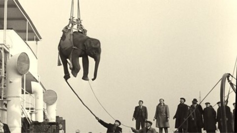 Soundtrack to a Coup d'etat - Donaueschingen - 28.07.2025 20:00