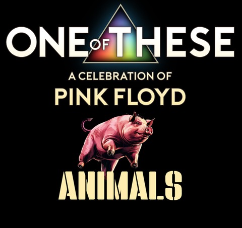 One Of These - A celebration of Pink Floyd Animals Tour 2026 - Mannheim - 31.01.2026 20:00