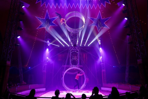 Circus Arena der Attraktionen - Freiburg - 08.08.2025 16:00