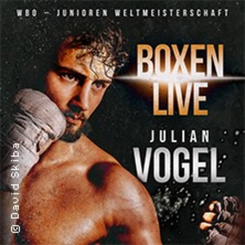 VIP Upgrade - SES Box-Gala Boxen Live - Das Duell der Champions WBO Junioren - ASCHERSLEBEN - 27.09.2025 18:00