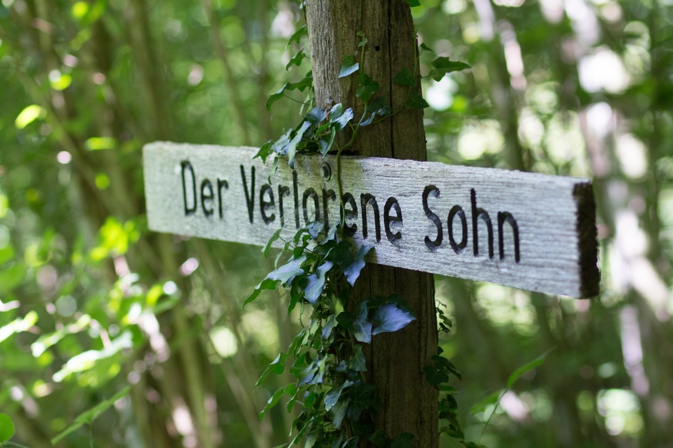 Teninger Allmend - Teningen