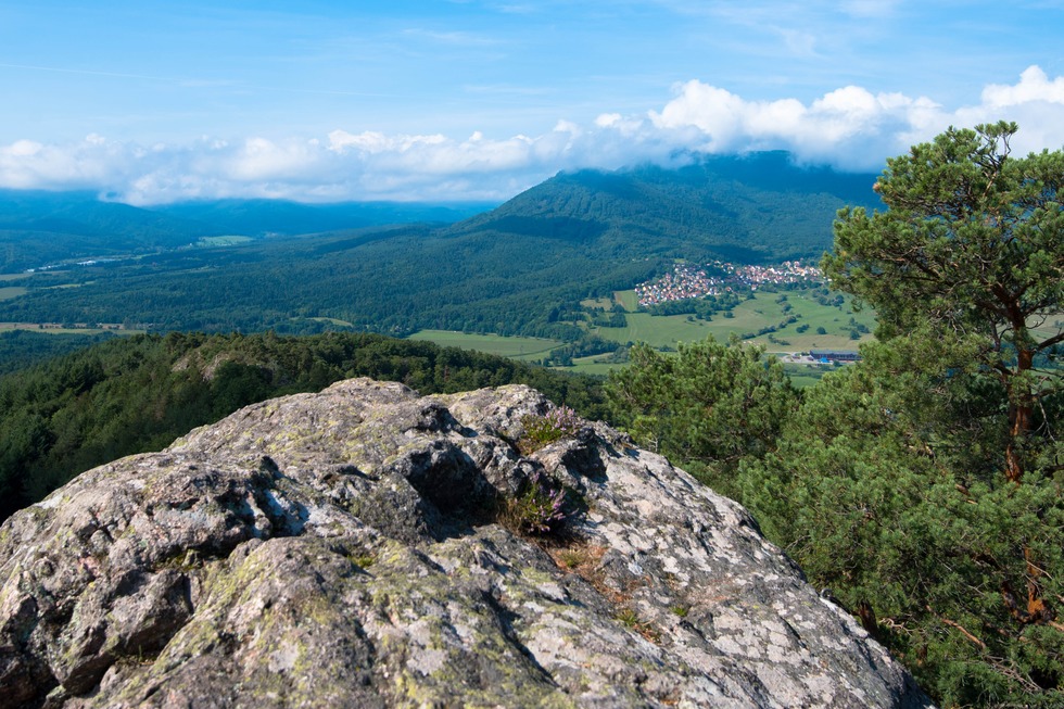 Rocher du Falkenstein - Dambach-la-Ville