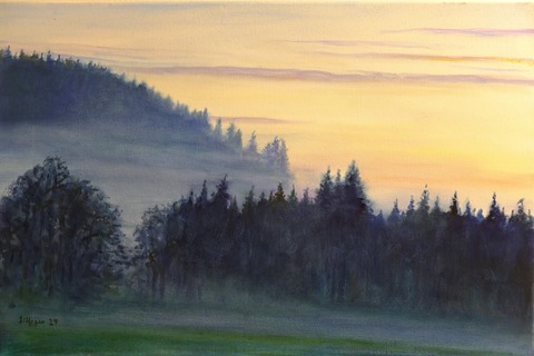 Schne Aussichten &#8211; berwiegend heiter - Schluchsee - 09.08.2025 07:00