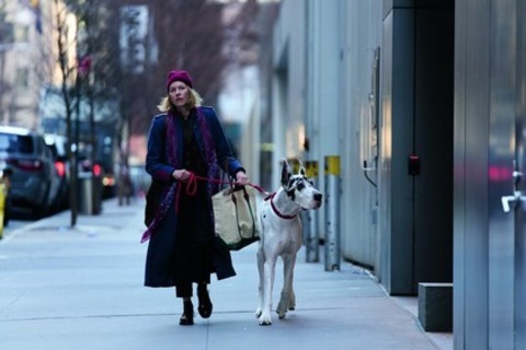 Loyal Friend - Basel - 31.07.2025 20:30