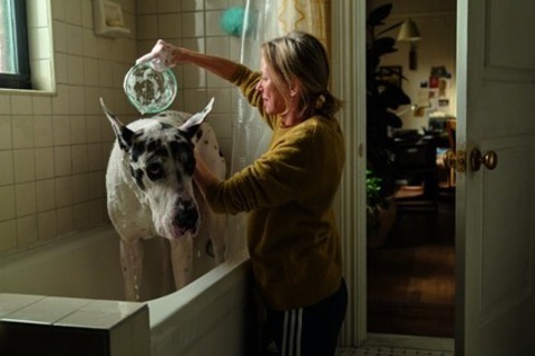 Loyal Friend - Basel - 31.07.2025 20:30