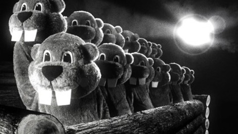 Hundreds of Beavers - Freiburg - 03.08.2025 20:30
