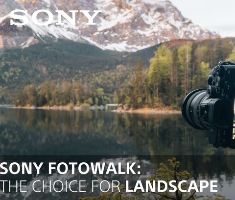 Sony Fotowalk: The choice of landscape - Erlangen - 15.11.2025 14:00