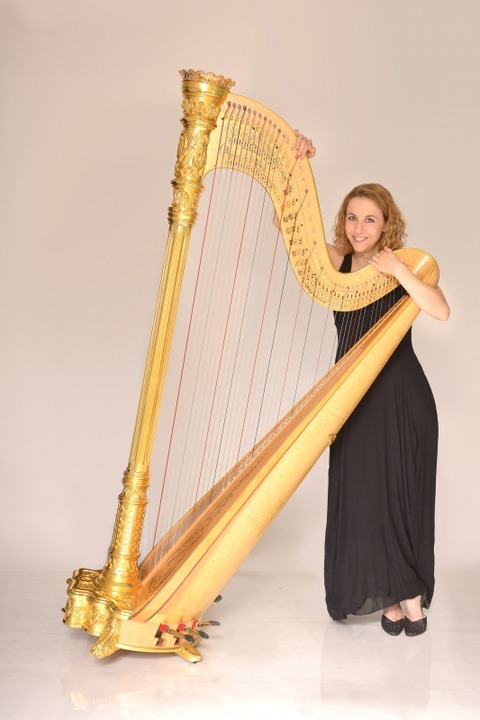Sinfoniekonzert - Camerata Europeana - Langen (Hessen) - 22.02.2026 19:00