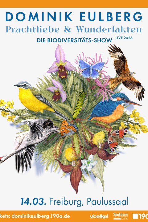 Dominik Eulberg - Prachtliebe & Wunderfakten - Freiburg - 14.03.2026 20:00