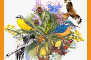 Dominik Eulberg - Prachtliebe & Wunderfakten