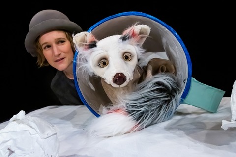 Lichtgest�ber - Schneegefunkel - mit DGS - Berlin - 07.01.2026 10:00