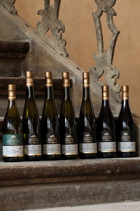 Jahrgangsprsentation mit dem Gastweingut Terlan aus Sdtirol - am 7. September von 13 - 16 Uhr - Eltville am Rhein - 07.09.2025 13:00