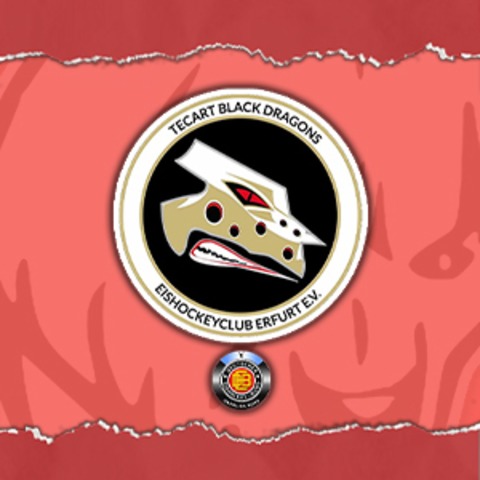 Hammer Eisbren - TecArt BlackDragons Erfurt - Hamm - 18.01.2026 18:30