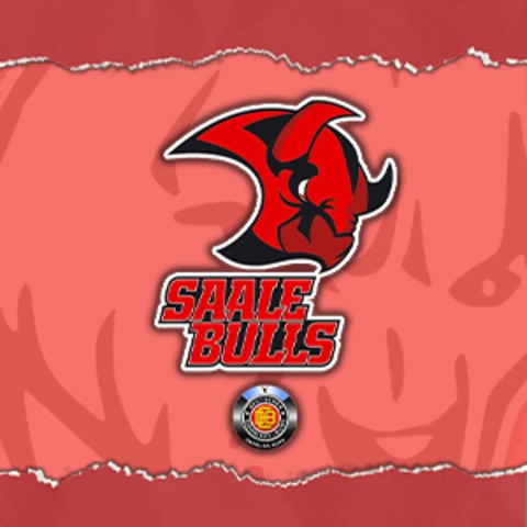 Hammer Eisbren - Saale Bulls Halle - Hamm - 12.12.2025 20:00