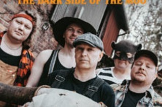 Steve 'n' Seagulls - Dark Side Of The Moo