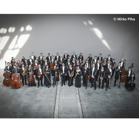 Neujahrskonzert - mit dem G�ttinger Symphonieorchester - Melle - 11.01.2026 11:00