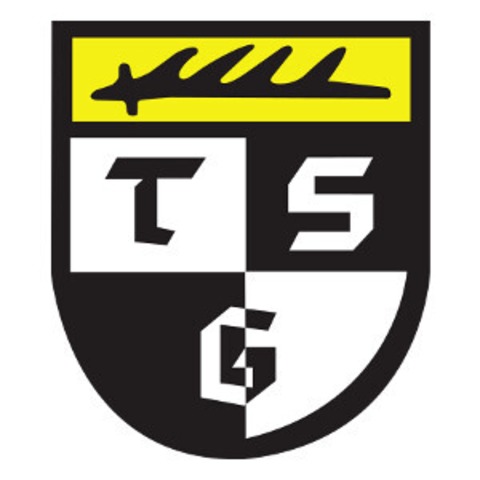SGV Freiberg Fuball - TSG Balingen - Freiberg am Neckar - 30.08.2025 14:00