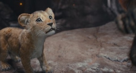 Mufasa: Der Knig der Lwen - Rheinfelden - 07.08.2025 17:45
