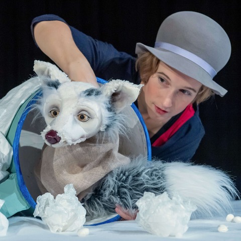 Lichtgestber - Schneegefunkel - Braunschweig - 23.12.2025 15:00