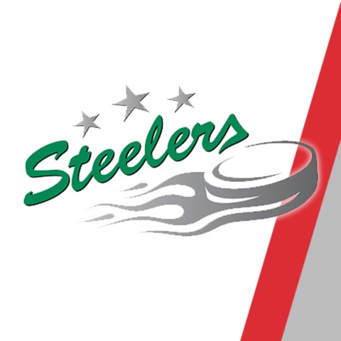 EHC Freiburg - Bietigheim Steelers - Freiburg - 06.09.2025 15:00